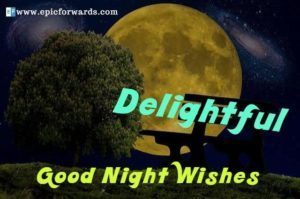 Read more about the article Delightful Good Night Wishes, Quotes, Images
