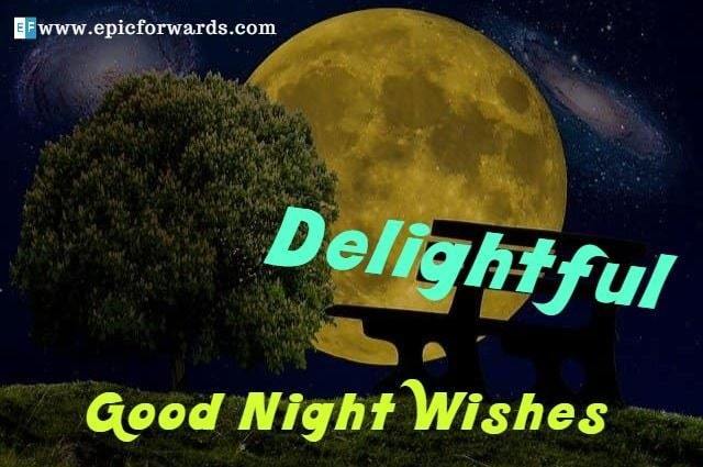 Read more about the article Delightful Good Night Wishes, Quotes, Images