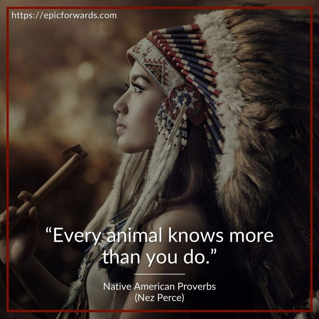 Native American Proverbs